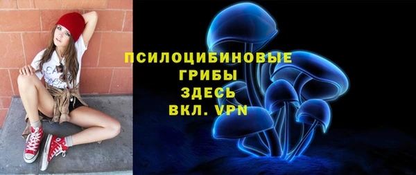 гидра Алексин