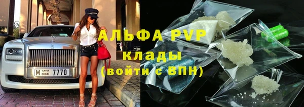 гидра Алексин