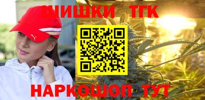индика Кинель