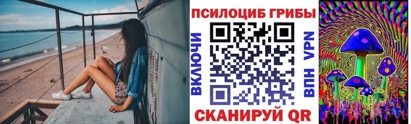 Псилоцибиновые грибы мухоморы  дарнет шоп  Кольчугино 
