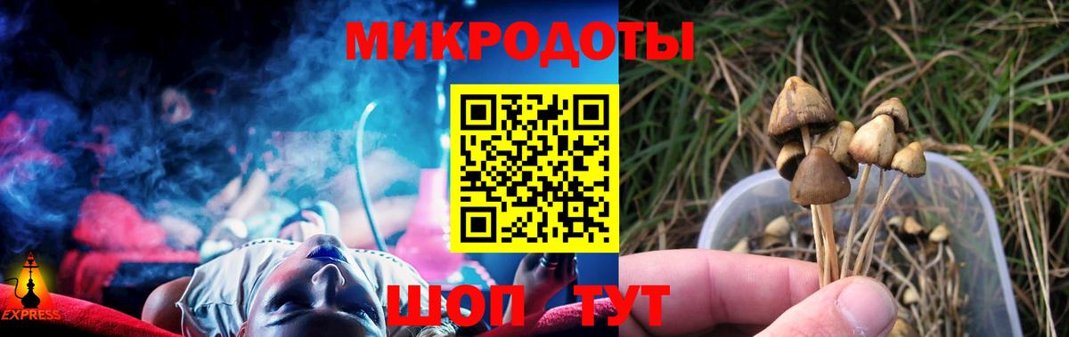 Псилоцибиновые грибы Psilocybe  Псилоцибиновые грибы мицелий  Вход с VPN  Кольчугино 